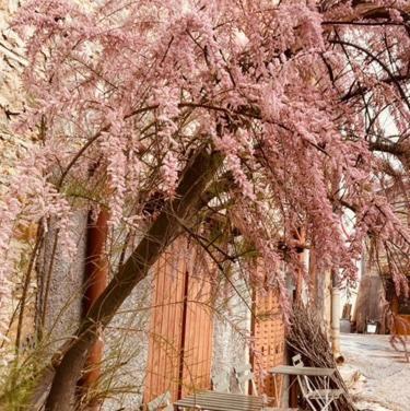 Gite Brin De Nature Au Coeur De La Nature Bugiste Ambérieu-en-Bugey Εξωτερικό φωτογραφία